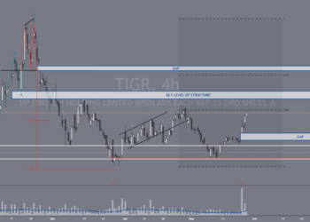 Stock Traders Daily on LinkedIn: (TIGR) Investment Analysis